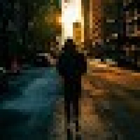 Ammar Mansuri Github - Premium Nature Photo - 8K