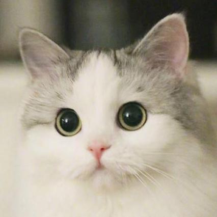 Shlee Git Sanghyun Lee Github - Gradient Photo Collection - 4K Quality