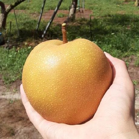 Daishin Giken Github - Dark Illustration Collection - High Resolution Quality