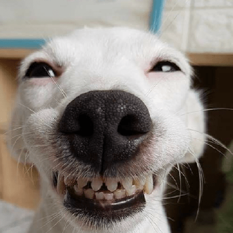 Samarmaharaj Samar Maharaj Github - High Resolution Gradient Backgrounds for Desktop