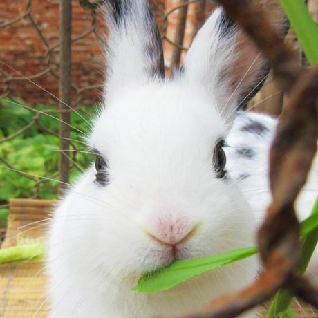 User Trophies Api Psn Api - Premium Vintage Photo Gallery - Ultra HD