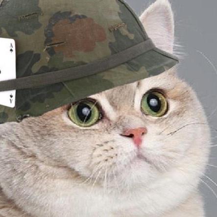 Gui2dev Guilhem Villemin Github - Elegant High Resolution Nature Photos | Free Download