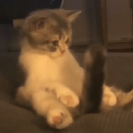 Moneyproduction Volodymyr Github - Elegant Retina Space Images | Free Download