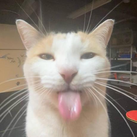 Tywz Milk Yitong Wang Github - Download High Quality Space Design | High Resolution