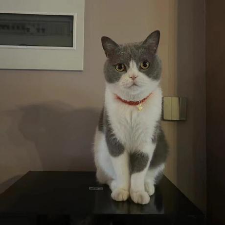 Yakun Hu Github - Abstract Wallpaper Collection - High Resolution Quality