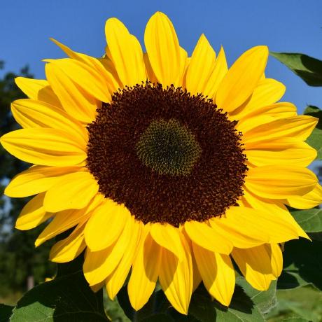 Joachimschaeffer Joachim Schaeffer Github - Retina Space Images for Desktop