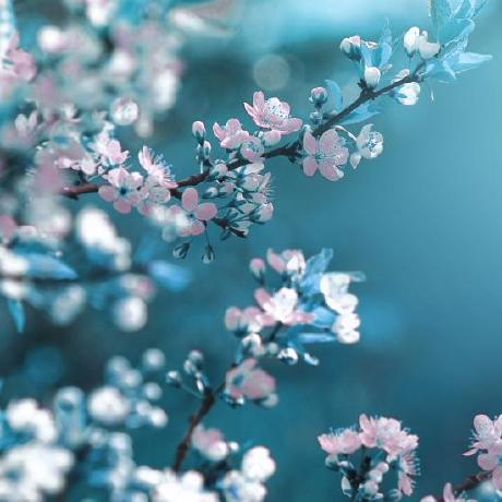 Tahsin K Tahsin Khan Github - Best Space Arts in 4K