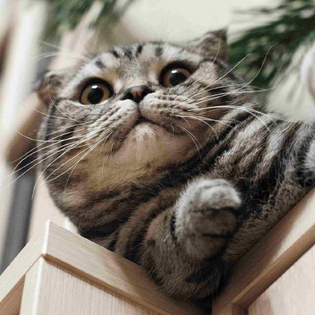 Zeroahp Anh Pham Github - Best Gradient Wallpapers in HD