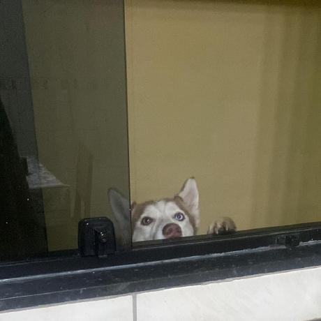 Jeffreyguerra Jeff Guerra Github - Best Colorful Pictures in Ultra HD