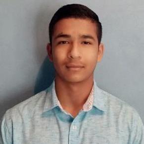 Hector Maldonado Github - Premium Geometric Illustration Gallery - Mobile