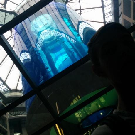 Aron 101 Github - Amazing Nature Photo - Mobile