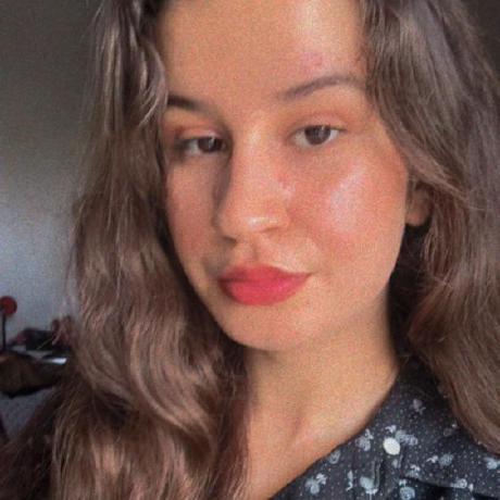 Belaidadem Adem Belaid Github - Creative Sunset Illustration - Retina