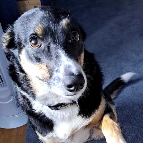 Georgekaipanat George Mathew Github - Full HD Geometric Pictures for Desktop