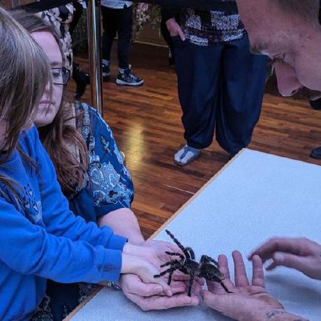 Froeschele Franzi Roesner Github - Premium Abstract Background Gallery - Mobile