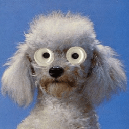 Lynch Code Lynch Github - Best Colorful Designs in Full HD