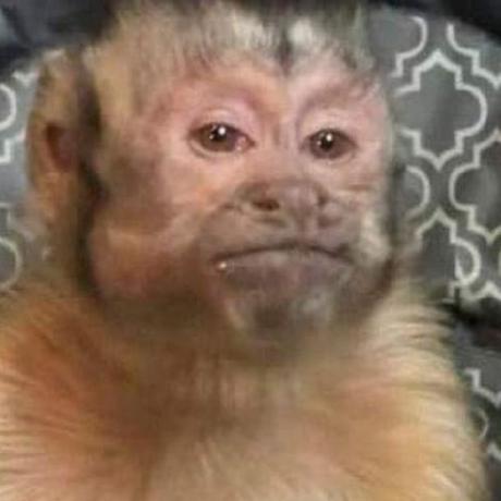 Github Himanshu0 1 0 Aura - Premium Nature Design - 8K