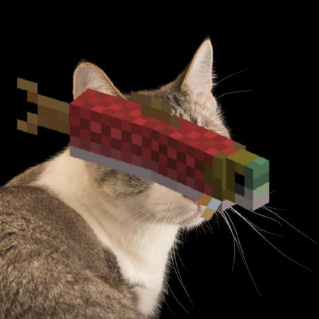 Github Salmon B0t Salmon B0t Config Files For My Github Profile - Modern High Resolution Nature Textures | Free Download