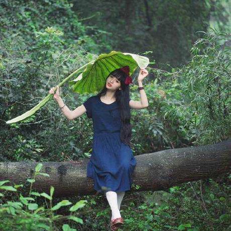 Franck Wrui Rui W Github - Landscape Arts - Creative 8K Collection