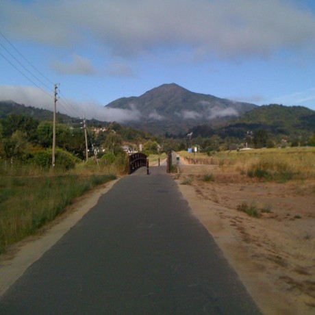 Github Api Example Bob Kerns Observable - Desktop Mountain Illustrations for Desktop