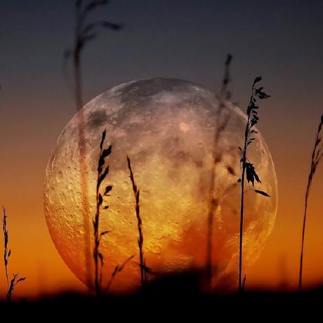 Frocode Maamar Haddouche Github - Mountain Photo Collection - High Resolution Quality