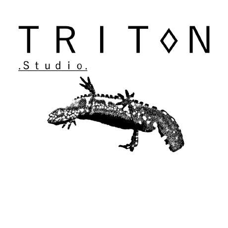 Triton Studio Github - Best Mountain Photos in Mobile