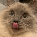 Ryoichi Fukuhara Im8 Github - 8K Dark Illustrations for Desktop