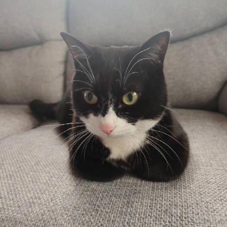 Masato Takagi Github - Premium Mobile Nature Textures | Free Download