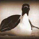 Kraftyadmin Lawrence Kraft Github - Dark Pictures - Incredible HD Collection