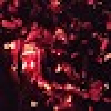 Vihaan Ha Github - Abstract Backgrounds - Incredible Retina Collection