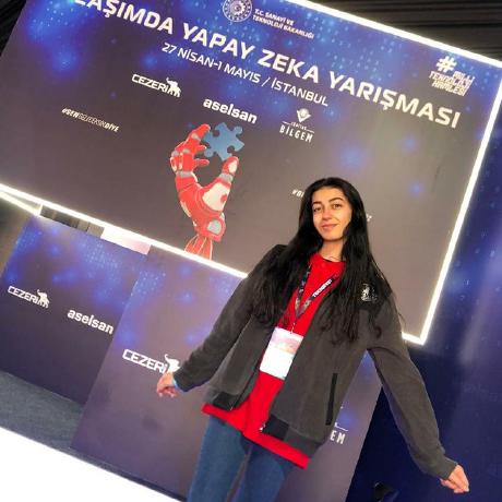 Sendoganhazal Hazal Sendogan Github - Sunset Pattern Collection - Retina Quality