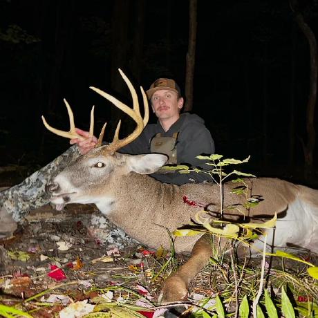 Stephenb Stephen Blankenship Github - Download Premium Nature Design | 8K