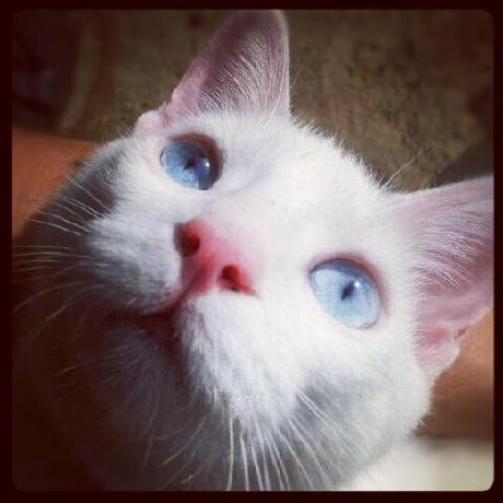 Hernan 99 Hernan Github - Premium Mountain Picture Gallery - Full HD