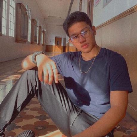 Luis1santos1 Luis Rosa Github - Best Geometric Backgrounds in Desktop