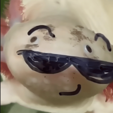 Emiliosdev Emilio Senguana Github - Download Beautiful Nature Background | 8K