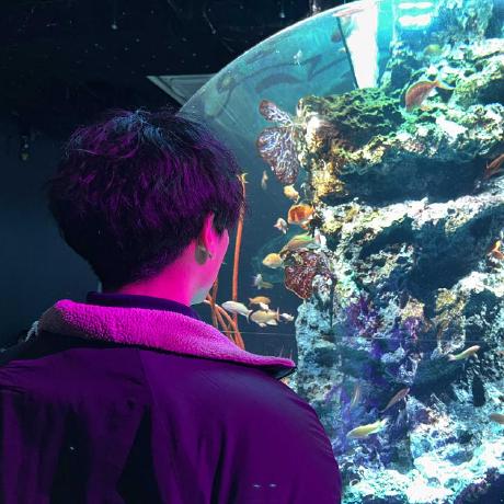 Sugisou10 Soichiro Sugihara Github