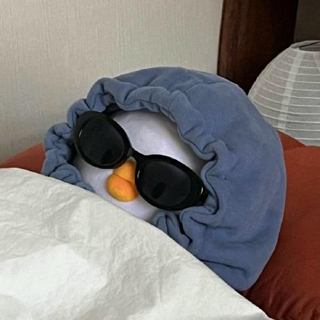 1haann (Han Sewoong) · GitHub