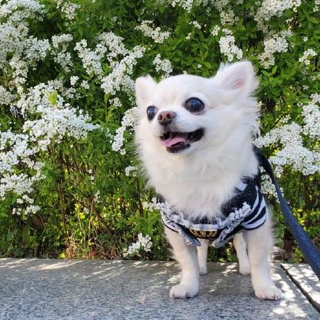 Rachel R2 Rei Github - Abstract Wallpaper Collection - High Resolution Quality