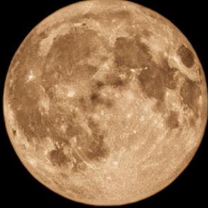 Eddie Kan Github - Premium Dark Photo Gallery - 4K