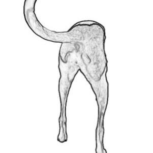 Tails Files Github - Dark Pictures - Artistic Desktop Collection