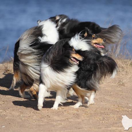 The Evenstar Github - Download Ultra HD Minimal Photo | 4K