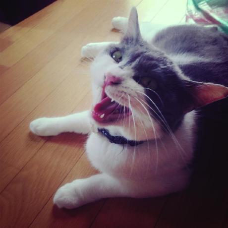 Github Patternrecog Arai Source - HD Nature Textures for Desktop