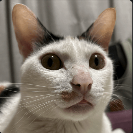 King Tsai Github - Premium Colorful Art Gallery - Full HD