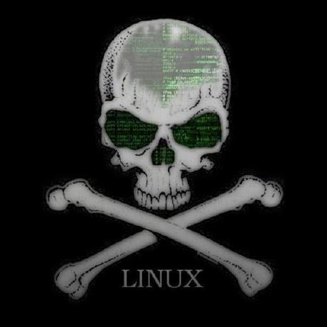 Jlaanstra Johan Laanstra Github - Best Nature Patterns in Ultra HD