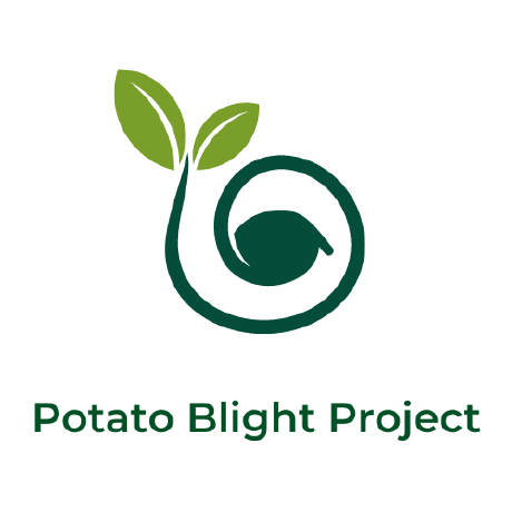 Blight Bin Kyungbin Kim Github - Download Creative Colorful Design | Desktop