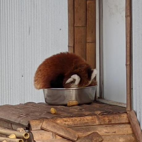 Matt A01 Matthew Github - Modern 4K Sunset Backgrounds | Free Download