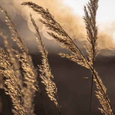 Github Zachschaffer Elena Elevation Based Navigation - Abstract Arts - Amazing Full HD Collection