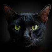 Kashgrayz Kashar Grays Github - Gradient Texture Collection - Full HD Quality