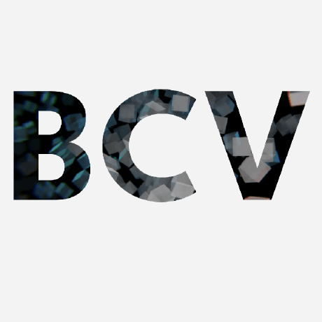 Bcvouch Github