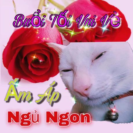 Mushroomizer Cuan Github - Premium Nature Picture Gallery - 4K