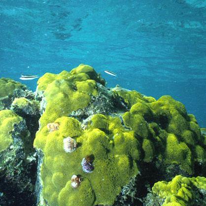 Pull Requests Sophiajt June Github - Best Mountain Photos in Ultra HD